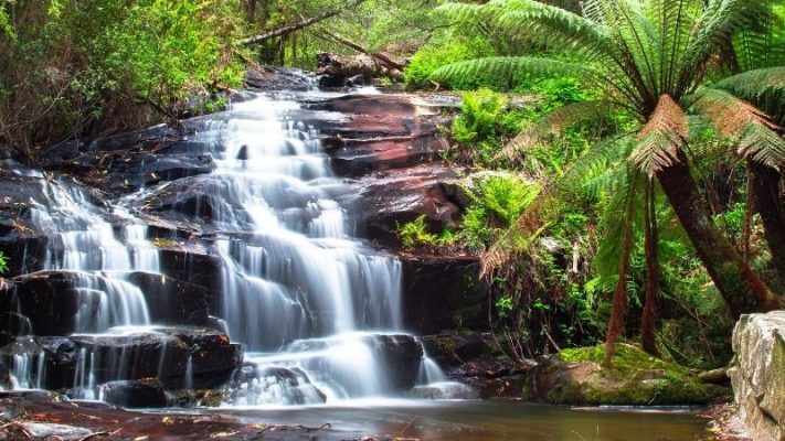 Cora Lynn Cascades near Lorne