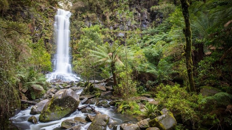 erskine falls lorne