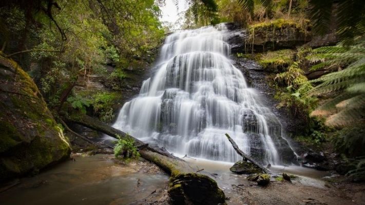 henderson falls