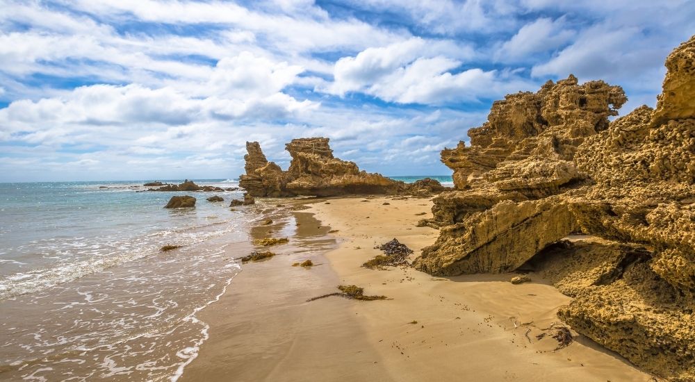 point roadknight beach anglesea